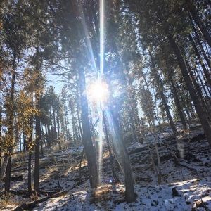 Meet your Posher, Kinsey